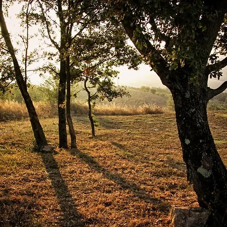 Casa Greppo 新维南佐
