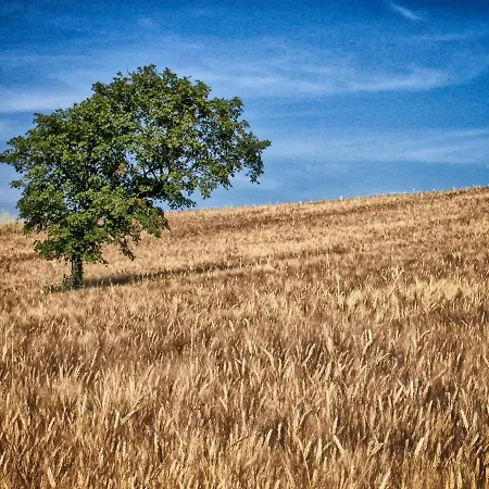 Сasa de vacaciones Casa Greppo San Venanzo