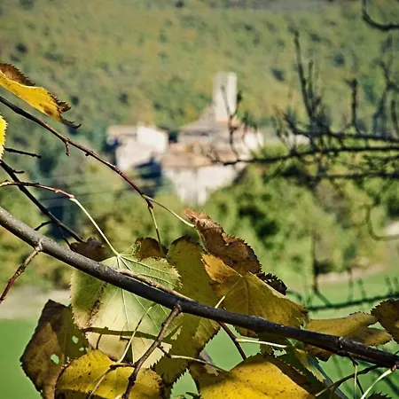 Сasa de vacaciones Casa Greppo